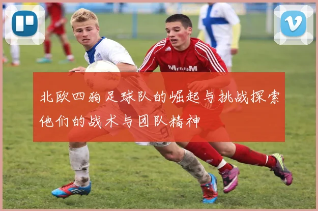 北欧四狗足球队的崛起与挑战探索他们的战术与团队精神