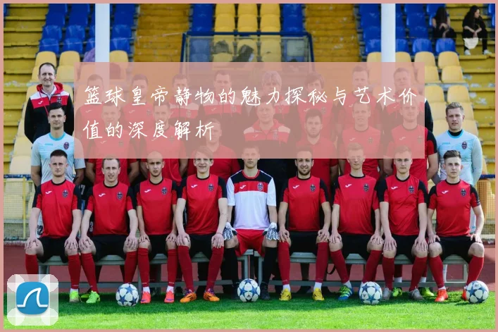 篮球皇帝静物的魅力探秘与艺术价值的深度解析